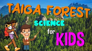 What is the Taiga Forest | Science for Kids