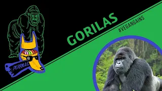 Gorilas: A pura proteína vegana. | Ep 39 | CULTURA COLMILLUDA