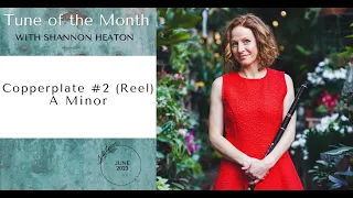 Copperplate #2 [Reel] - Tune of the Month with Shannon Heaton