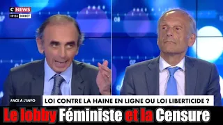 Eric Zemmour sur la Loi AVIA (La Censure Féministe)