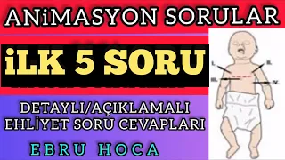 ANİMASYON EHLİYET SINAV SORULARI / 2022 EHLİYET SINAV SORULARI / ÇIKMIŞ EHLİYET SORULARI/ ANİMASYON