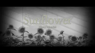 【marimba solo】Sunflower / Henry Mancini  映画「ひまわり」より