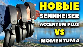 ОБЗОР Sennheiser Accentum Plus ($229) VS Momentum 4 ($379) VS Accentum ($179)