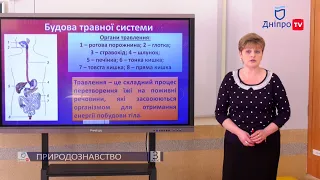 ПРИРОДОЗНАВСТВО (3 КЛАС) 23-04-20