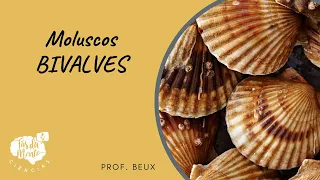 MOLUSCOS - BIVALVES - Ensino Fundamental