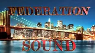 Federation Sound 100% Dubplate Mix
