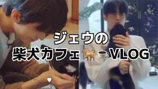 これはジェウ史上、最高コンテンツ🍑🐶ジェヒョンとジョンウの柴犬カフェVLOG🐕💕