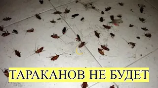 Многие и не знают, что от ТАРАКАНОВ можно избавиться так