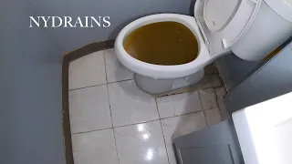 Clogged Drain #95