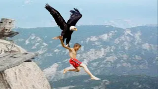 The Best Of Eagle Attacks 2020