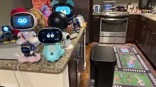 Jibo & Friends - That's Cool Reviews Livestream (Stay Open)