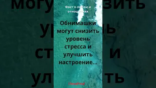 Обнимашки могут снизить уровень стресса и улучшить настроение...#shorts #love