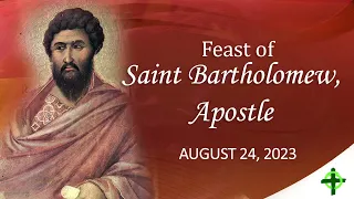 Aug. 24, 2023 / Feast of Saint Bartholomew, Apostle with Fr. Dave Concepcion