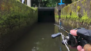 Hidden Tiny Creek Fishing A Tunnel with Big Lure!
