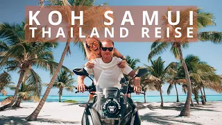 This is what KOH SAMUI is like in 2023! [current situation, prices, scooter, room tour] #Vlog58