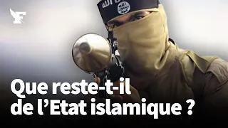 L'État islamique a-t-il toujours un pouvoir de nuisance ?