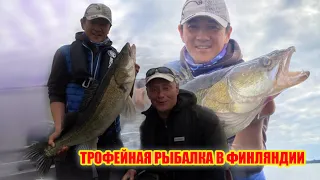 Судак 5,3 кг. Вот это рыбалка! Рыбалка с Корейцем. Panoptix Livescope. Рыбалка в Финляндии