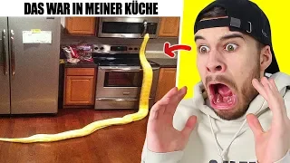 Dieses Video lässt dich "OMG" SCHREIEN!