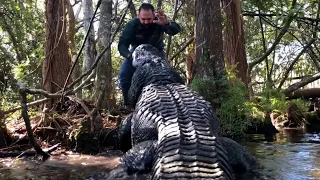 Is Buddy the biggest alligator at Gatorland? VLOGMAS DAY 2