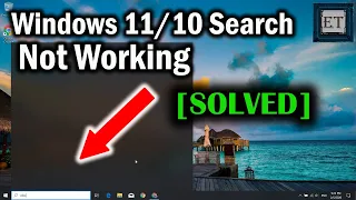 How to Fix Windows 11/10 Search Not Working (3 ways)