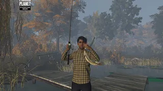 Fishing for northern pike.(FishingPlanet)