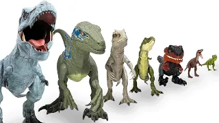 BIGGEST to smallest Jurassic World Apex Predator Compilation | T-Rex, Indominus Rex, and More!