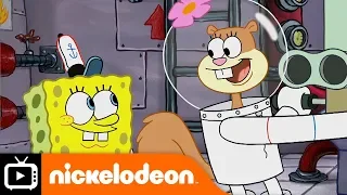 SpongeBob SquarePants | Shopping List | Nickelodeon UK