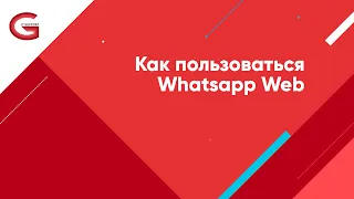 Как пользоваться Whatsapp Web