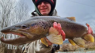Giant Trout Caught out of Small creek! (Winter trout fishing in NY)
