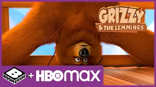 Grizzy en de Lemmings | Gedownloade kennis | Cartoonito