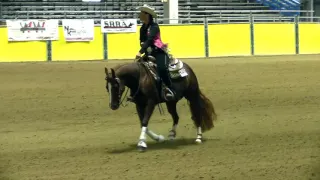 Starlight Per Se - Ashley Weaver - Non Pro Maturity, SRRA Luc McGregor Memorial Classic 2016