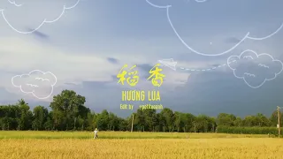 Video lyrics- Hương Lúa - Jay Chou |稻香 - 周杰伦 - Vietsub