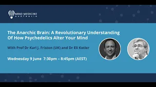 FREE WEBINAR: The Anarchic Brain: A Revolutionary Understanding Of How Psychedelics Alter Your Mind