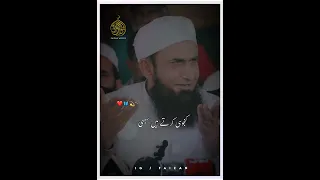 Mera UMMATI Jhut Nhi Bol Skta "🌙❤️ Mulana Tariq Jameel Sahb || Islamic Status|| FAIZAN WRITES 🦋