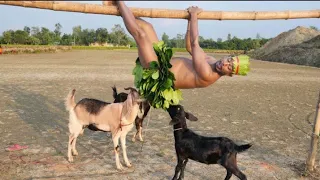 Must watch Very spacial New funny comedy videos amazing funny video 2022🤪Episode 49 by All2All fun