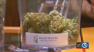 VIDEO: Lamont looks to legalize recreational marijuana as part of budget address