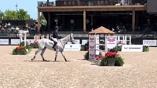 Slieve Callan Alpha Tryon 4*L show jumping