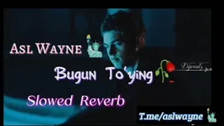 Asl Wayne 🗽 - Bugun Toʻying 🥀 (Klip Version) | Асл Вайне - Бугун Тойинг (Клип)