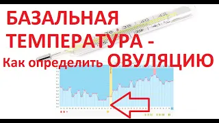 🌡️БАЗАЛЬНАЯ температура для зачатия - 💥Как определять Овуляцию и 🤰БЕРЕМЕННОСТЬ? (+Примеры!!!)