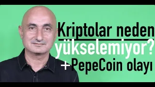 Bitcoin ve altcoin'ler'deki yükseliş neden durdu? PepeCoin olayı...