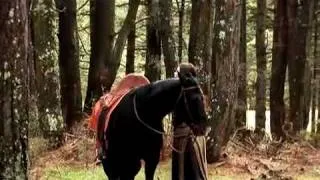 Legend of the Seeker - Behind The Scenes: Horses