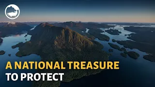 The Great Bear Sea: A Natural Treasure to Protect