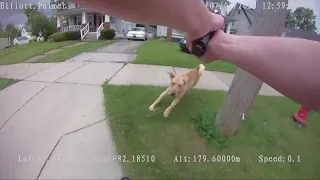 Lorain police say officer's use of deadly force against dog was reasonable