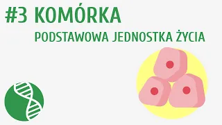 Komórka - podstawowa jednostka życia #3 [ Organizacja i chemizm życia ]