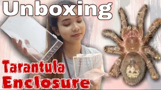 Unboxing Tarantula Enclosure from Shopee | KrizaTV