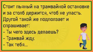 💎Мужик Вызывает Ветеринара...Большой Сборник Лучших Анекдотов Февраля,Для Хорошего Настроения!