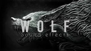 Wolf Howling sound effect copyright free | coyote sounds at night | coyote howl audio HQ