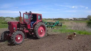 Культивация самодельным культиватором!