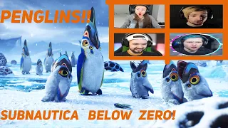 Gamers React To The Pengwings!! - Subnautica Below Zero