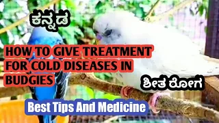 How to give Treatment For Cold Diseases Of Budgies/Love Birds in Kannada